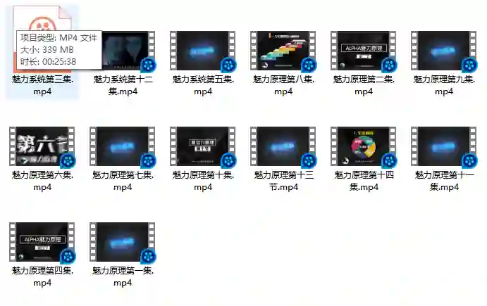 柯李思Chris良叔《魅力原理》实战指南|限时揭秘专属魅力公式-初心情感社