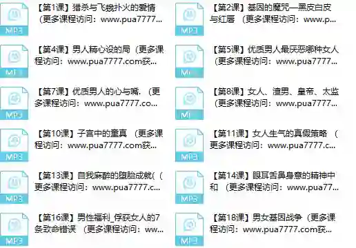 甄琦学长《成功男人的情感刚需》实战指南|限时揭秘专属情感升级方案-初心情感社