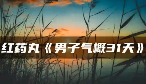 红色药丸《男子气概31天》实战指南：限时揭秘专属成长路径-初心情感社
