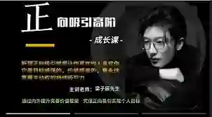 梁子辰《正向吸引高阶成长课》实战指南|限时解锁专属吸引力密码-初心情感社