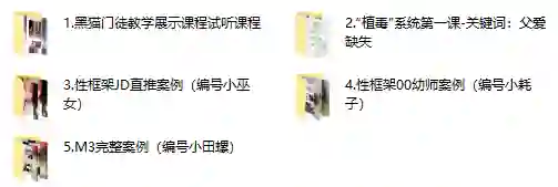 黑猫门徒核心课实战指南:限时揭秘专属成长路径-初心情感社