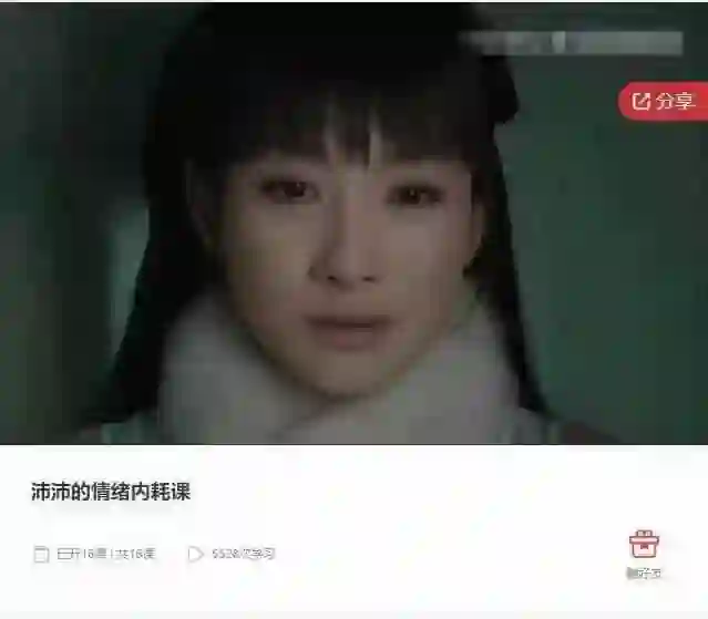 沛沛情绪内耗课实战指南：揭秘高效自救法（限时专属）-初心情感社