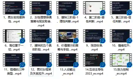 Leon情感5.0实战指南：限时揭秘专属情感提升术-初心情感社