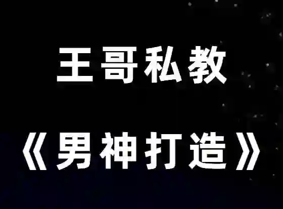 图片[2]-王哥私教课V3.0｜实战情感指南·限时解锁专属成长秘籍-初心情感社