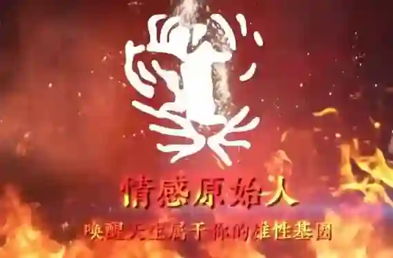 火种情感《情感原始人》实战指南：揭秘原始吸引力法则-初心情感社